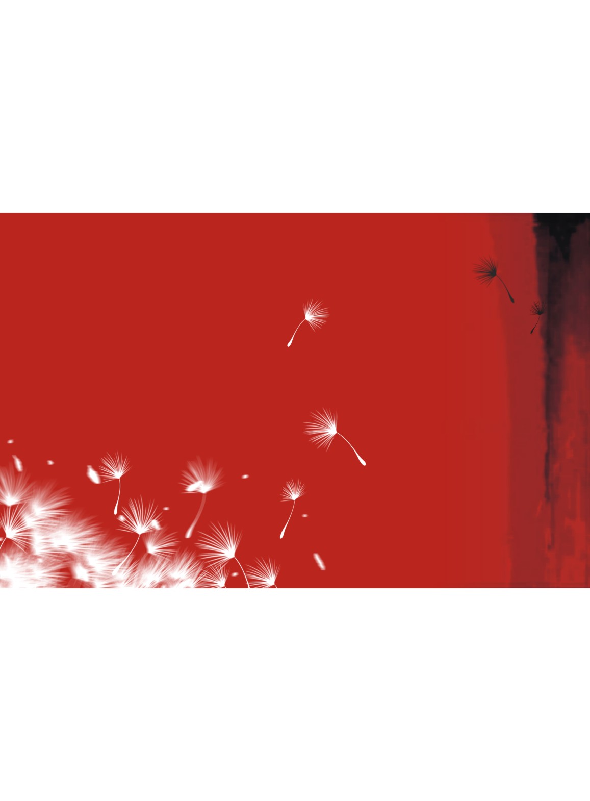 ��(zh��n)����ý��Әӱ�����